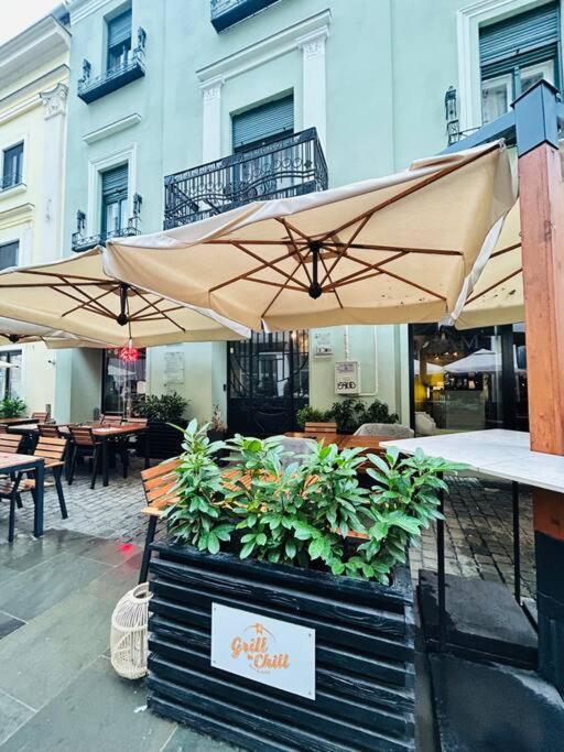 티미쇼아라 Hidden Gem In The Old Town 아파트 외부 사진